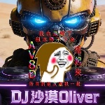 DJ沙漠-越南鼓专辑