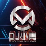 Dj小亮-全英文ProgHouse音乐欧美之夜系列串烧无心睡眠鼓.mp3